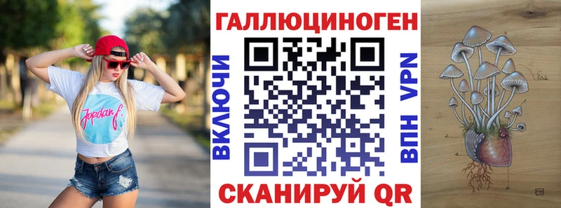 Галлюциногенные грибы мицелий  Пугачёв 